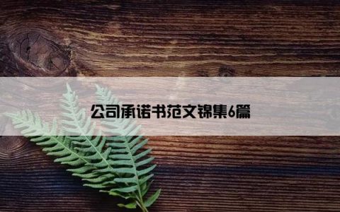 公司承诺书范文锦集6篇