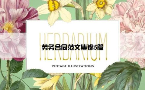 劳务合同范文集锦5篇