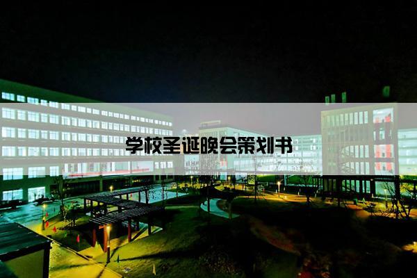 学校圣诞晚会策划书