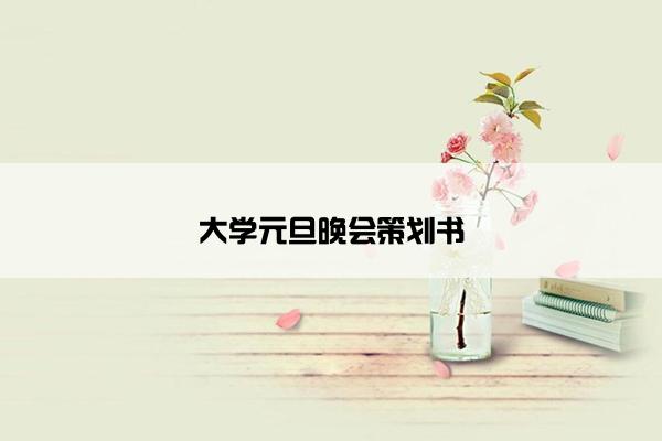 大学元旦晚会策划书