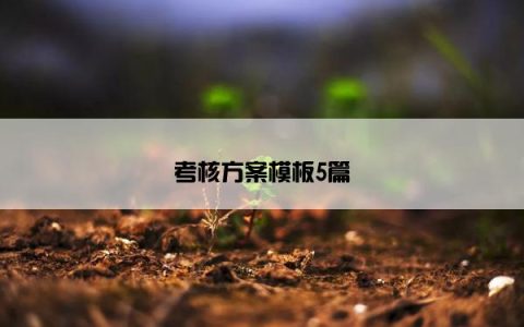 考核方案模板5篇