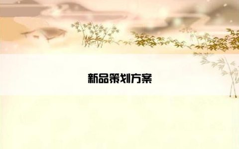 新品策划方案