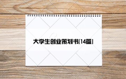 大学生创业策划书[14篇]