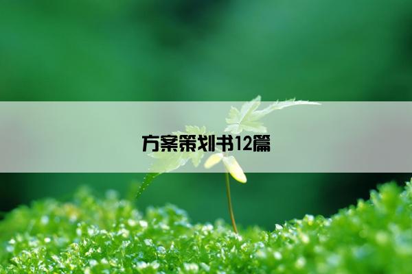 方案策划书12篇