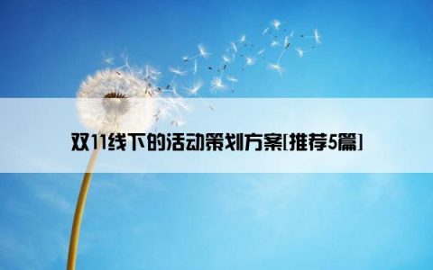 双11线下的活动策划方案[推荐5篇]