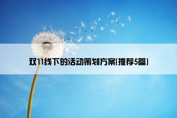 双11线下的活动策划方案[推荐5篇]