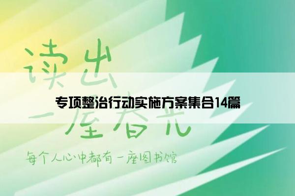 专项整治行动实施方案集合14篇