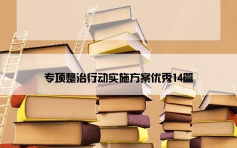 专项整治行动实施方案优秀14篇