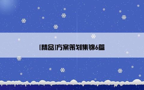 [精品]方案策划集锦6篇