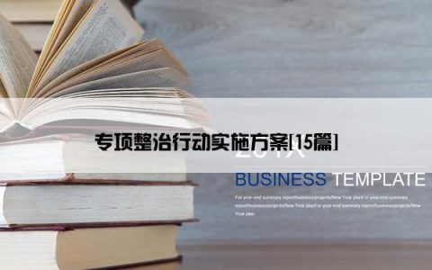 专项整治行动实施方案[15篇]