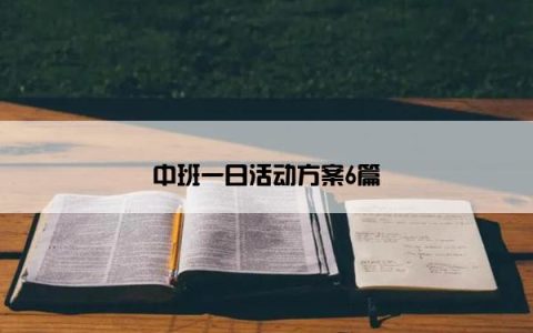 中班一日活动方案6篇