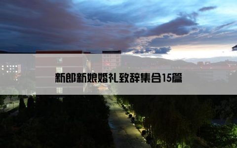新郎新娘婚礼致辞集合15篇