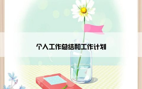个人工作总结和工作计划