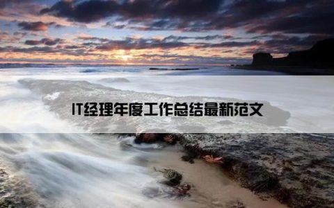 IT经理年度工作总结最新范文