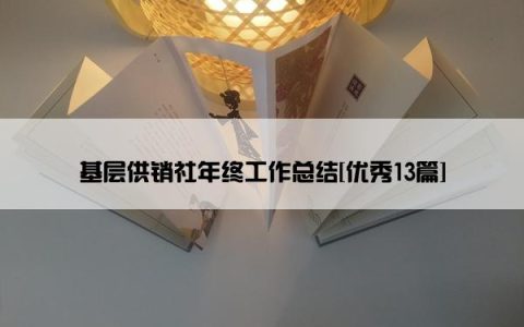 基层供销社年终工作总结[优秀13篇]