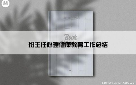 班主任心理健康教育工作总结