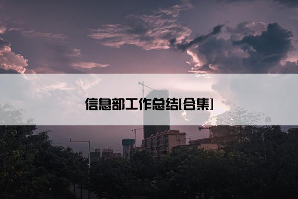 信息部工作总结[合集]