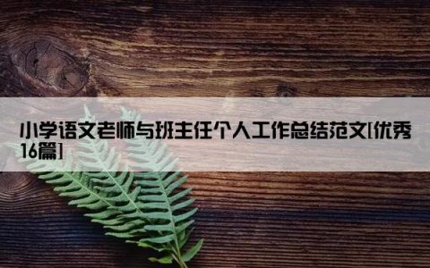 小学语文老师与班主任个人工作总结范文[优秀16篇]