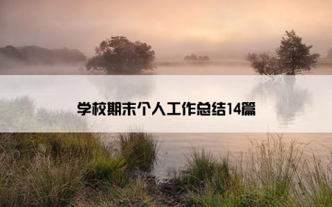 学校期末个人工作总结14篇