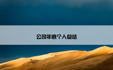 公司年底个人总结