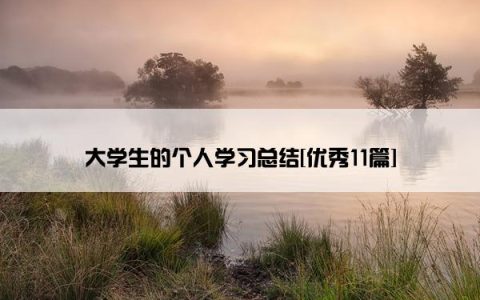大学生的个人学习总结[优秀11篇]