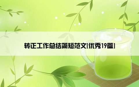 转正工作总结简短范文[优秀19篇]