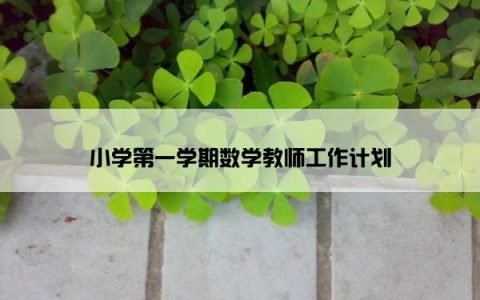 小学第一学期数学教师工作计划