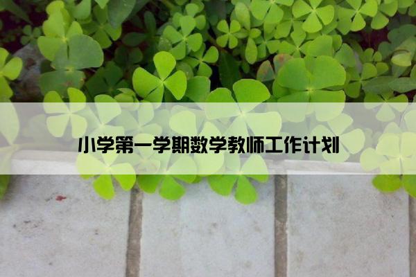 小学第一学期数学教师工作计划