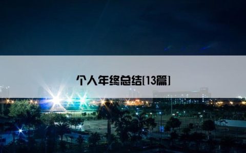个人年终总结[13篇]