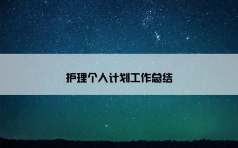 护理个人计划工作总结