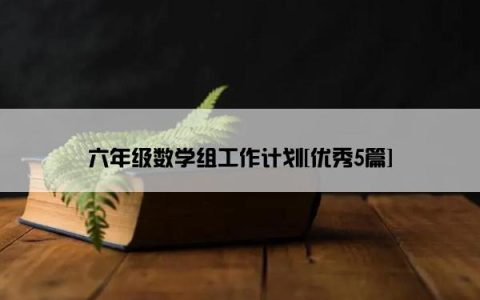 六年级数学组工作计划[优秀5篇]