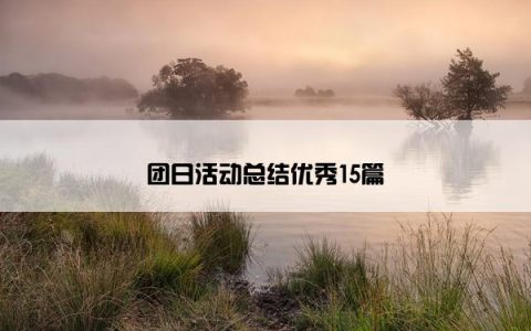 团日活动总结优秀15篇