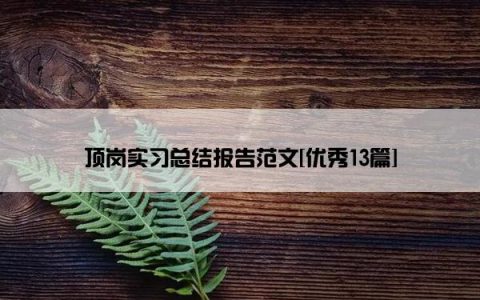 顶岗实习总结报告范文[优秀13篇]