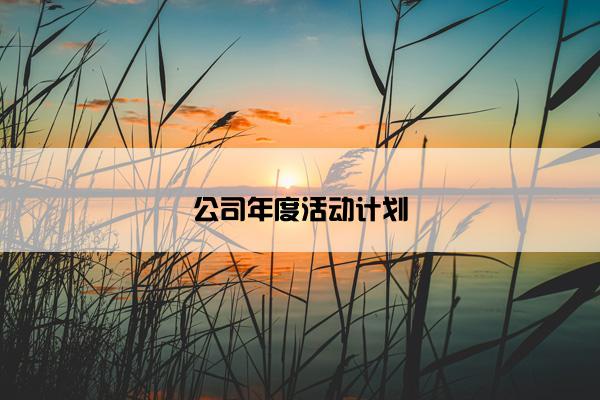 公司年度活动计划