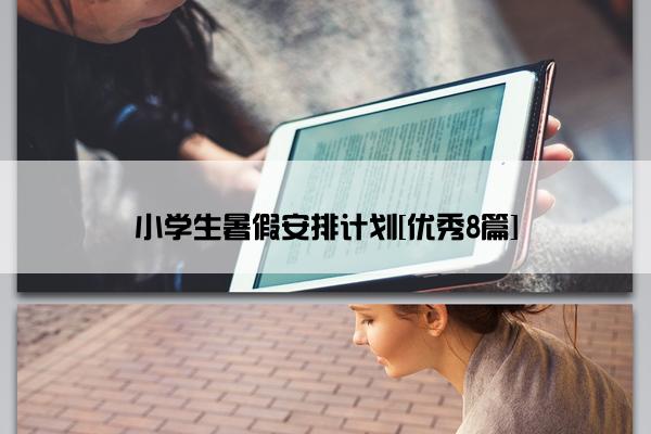 小学生暑假安排计划[优秀8篇]