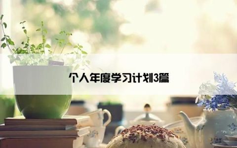 个人年度学习计划3篇