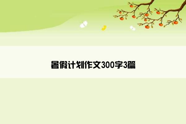 暑假计划作文300字3篇