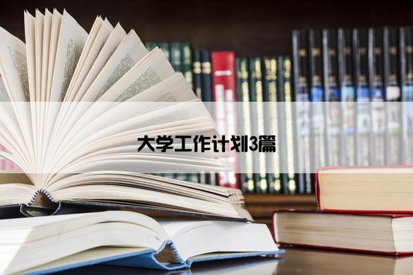 大学工作计划3篇