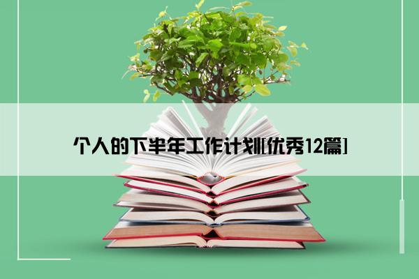 个人的下半年工作计划[优秀12篇]