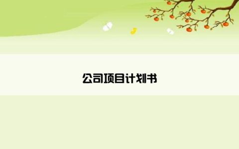 公司项目计划书