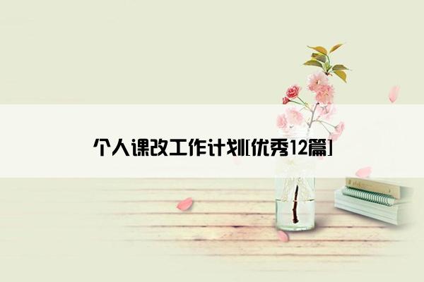 个人课改工作计划[优秀12篇]