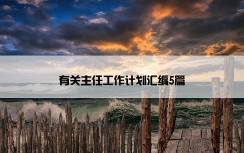 有关主任工作计划汇编5篇