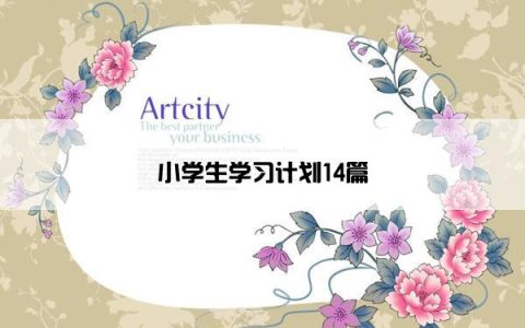 小学生学习计划14篇